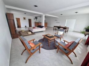Grand loft moderne